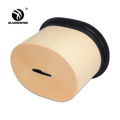 애벌레 OEM 252-5001 엔진 공기 정화 필터  252-5002